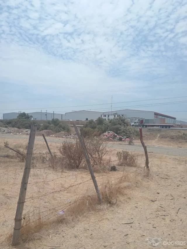 Venta de Terreno 6 Ha Carretera Piura Sullana — foto 6