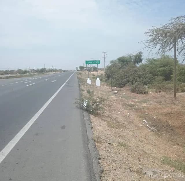 Venta de Terreno 6 Ha Carretera Piura Sullana — foto 8