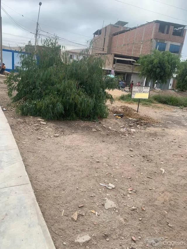 Venta terreno Las Palmas Lurin — foto 6