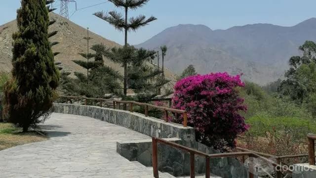 Venta de Lote - Pachacamac — foto 1