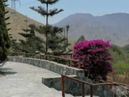 Venta de Lote - Pachacamac