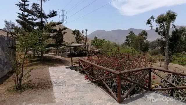 Venta de Lote - Pachacamac — foto 5