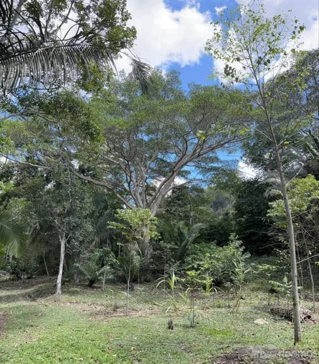 HERMOSO TERRENO CON CASA CONSTRUIDA TODOS LOS SERVICIOS PARA INVERSION — foto 3