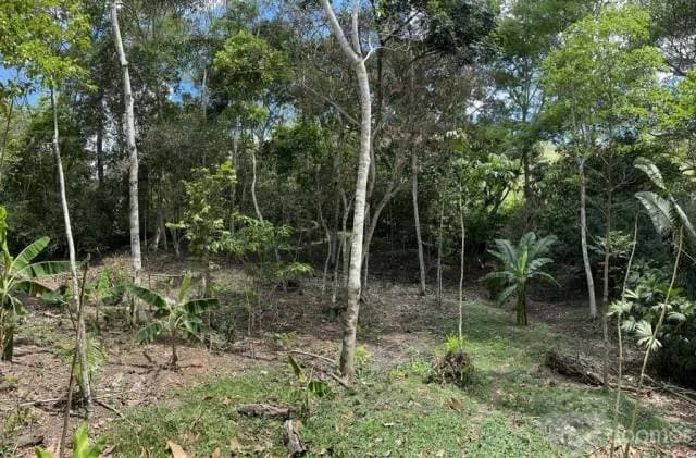 HERMOSO TERRENO CON CASA CONSTRUIDA TODOS LOS SERVICIOS PARA INVERSION — foto 4