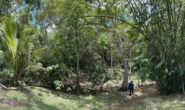 HERMOSO TERRENO CON CASA CONSTRUIDA TODOS LOS SERVICIOS PARA INVERSION — foto 8