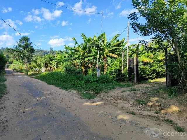 ¡OFERTA ESPECIAL! – LOTES EN TARAPOTO — foto 2