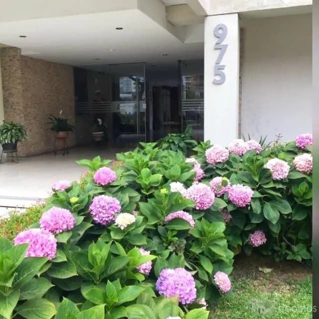 Alquilo Departamento Remodelado de Estreno — foto 1