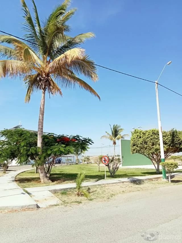 VENTA DE TERRENO EN PIURA — foto 3