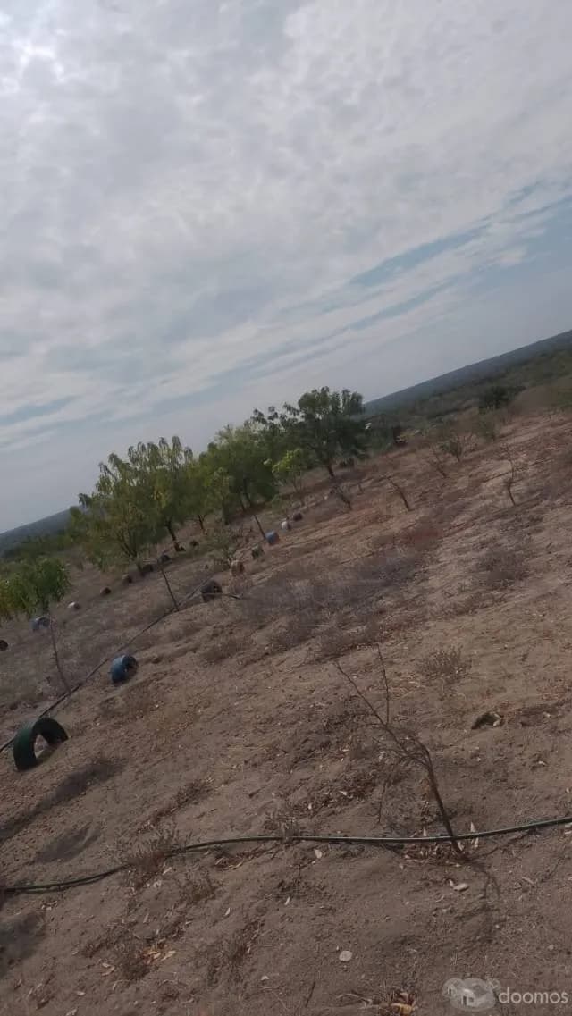VENDO TERRENO PARA PROYECTOS INMOBILIARIOS 9.8HAS — foto 6
