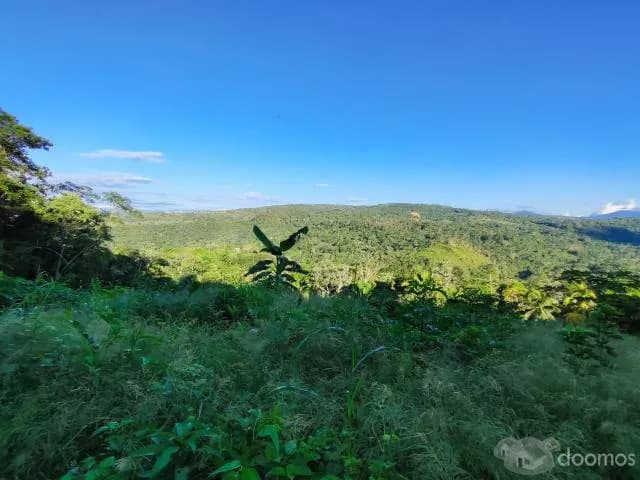 TERRENO PARA INVERSIÓN TURÍSTICA EN TARAPOTO. ¡DE OCASIÓN! — foto 2