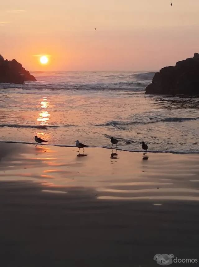 ASIA, KM. 92.5, CHOCALLA, terrenos frente al Mar — foto 3
