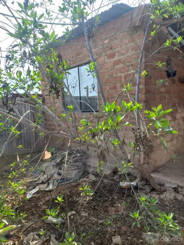 REMATE DE TERRENO CON CASA PREFABRICADA (Dos cuartos) — foto 4
