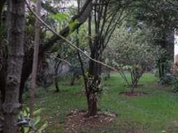 Terreno para PROYECTOS de 1500 m2 en Urb Larapa Cusco
