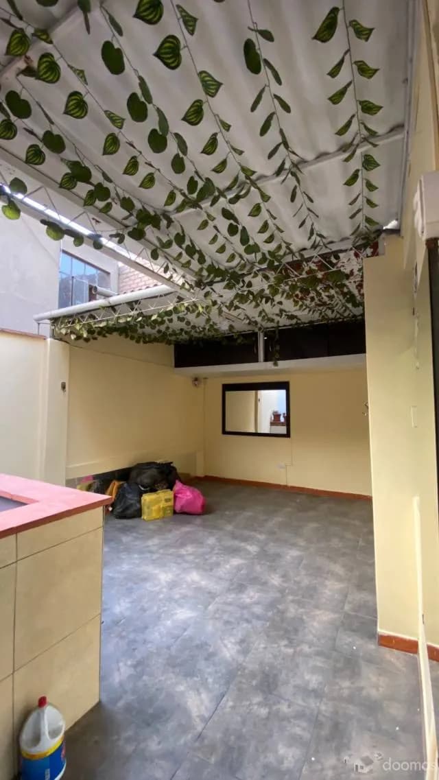 ALQUILER DE AMPLIO Y BONITO DEPARTAMENTO EN COMAS — foto 3