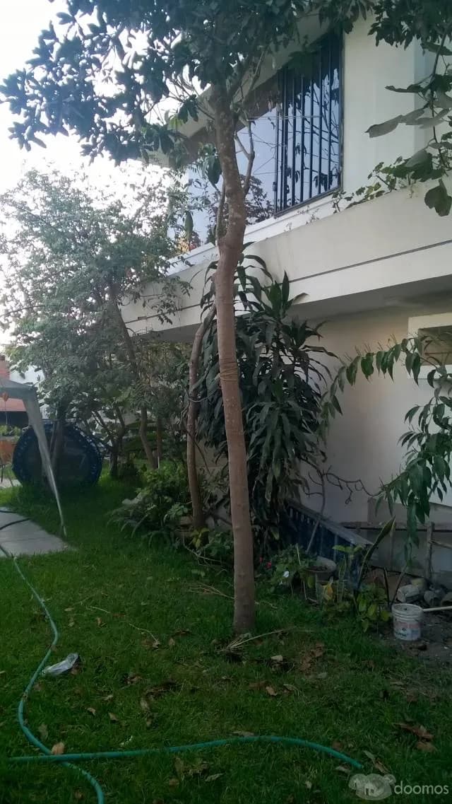 ALQUILO  DEPARTAMENTODD — foto 4