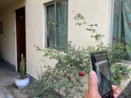 DEPARTAMENTO MAS COCHERA (1er piso)