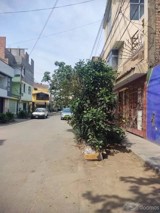VENTA DE LOTE LOS OLIVOS 180 M2 — foto 4