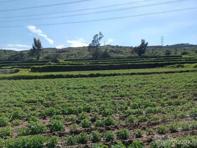 Ocasión Fundo la Romaña — foto 1