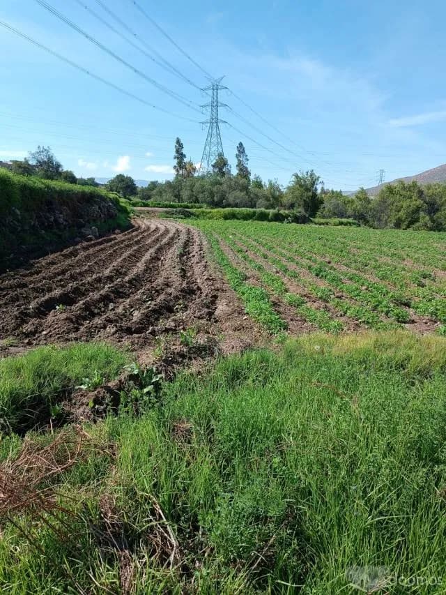 Ocasión Fundo la Romaña — foto 3