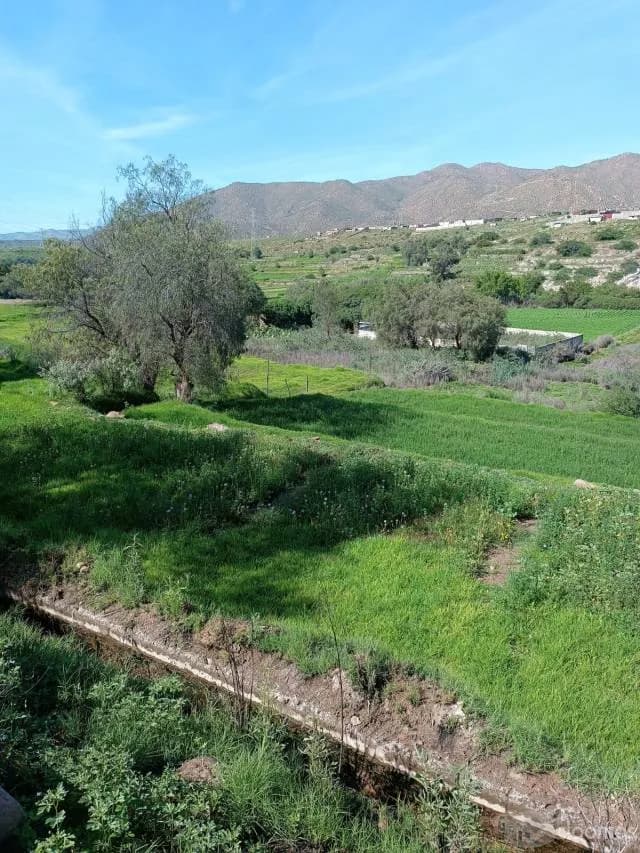 Ocasión Fundo la Romaña — foto 4