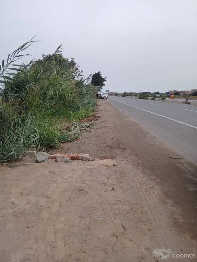 VENDO 4 HECTAREAS EN CHANCAY — foto 1