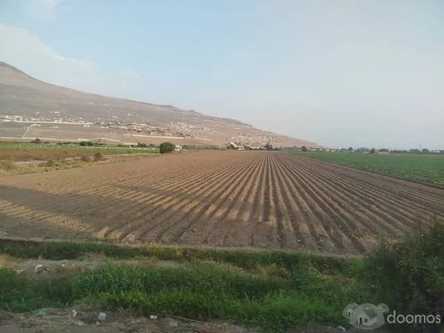 VENDO 4 HECTAREAS EN CHANCAY — foto 2
