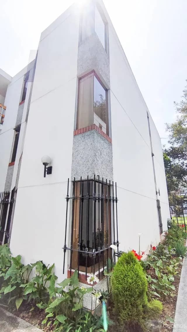 Departamento San Borja — foto 4
