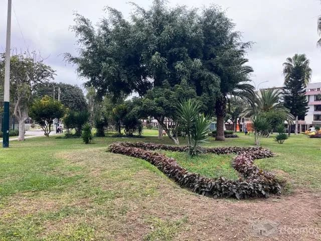 ALQUILO ALMACEN — foto 3