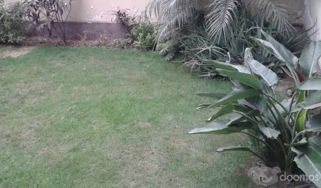 CASA EN AVENIDA — foto 4