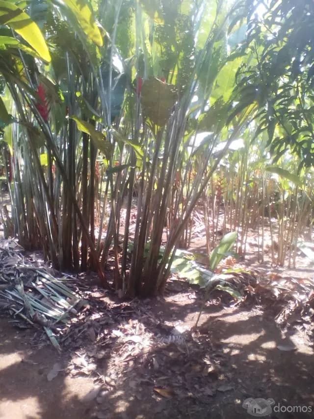 VENTA DE CASA RECREO TURISTICO — foto 3