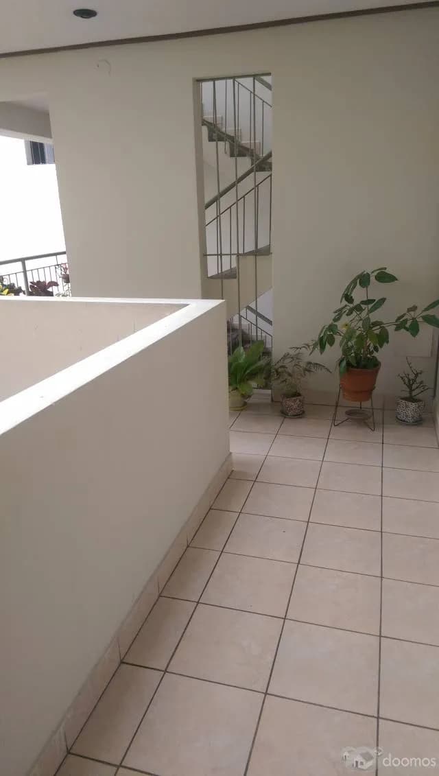 DEPARTAMENTO  AMPLIO ILUMINADO Y VENTILADO BARRANCO — foto 8