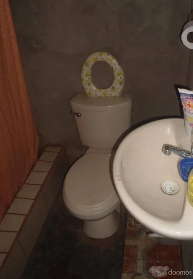 VENDO 2 TERRENOS CON CASA DE MADERA PISO MAYOLICA — foto 4