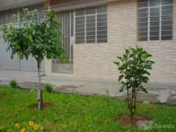 VENTA DE DEPARTAMENTO MUY BUENA OPORTUNIDAD DE COMPRA!