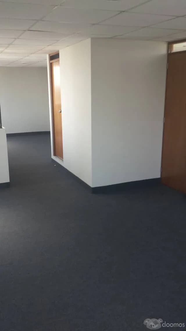ALQUILO OFICINA BELLAVISTA — foto 2