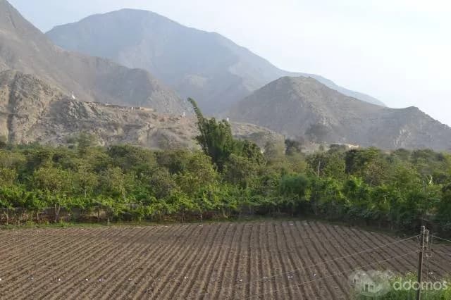 ALQUILER DE CASA DE CAMPO EN LUNAHUANA — foto 3