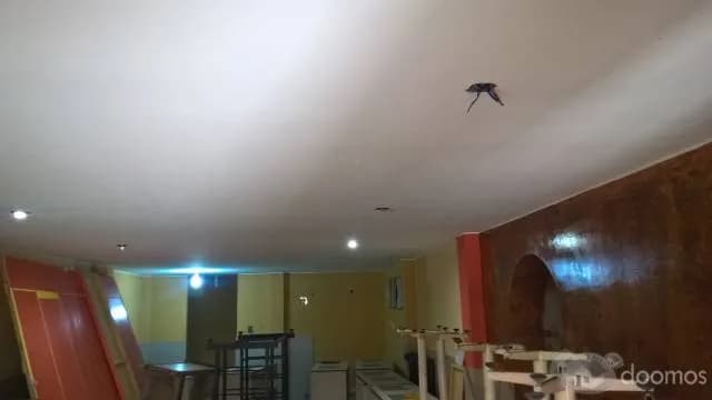 Alquiler de Local  90 m2 en surquillo a 900 Dólares — foto 1
