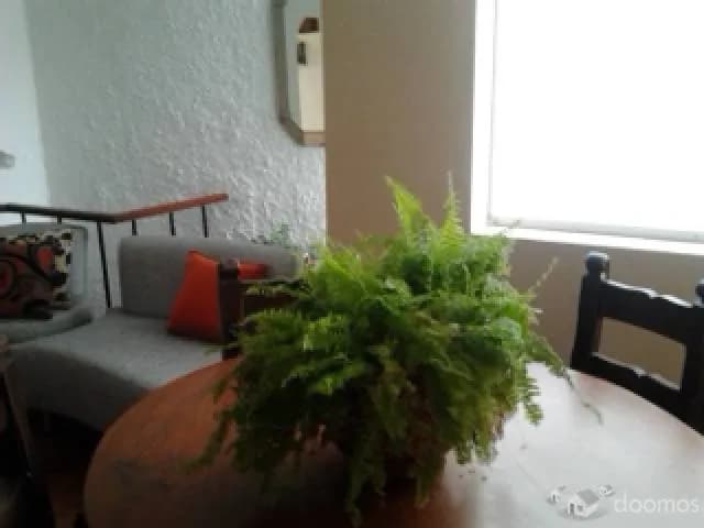 VENDO DEPARTAMENTO TIPO CASITA — foto 3