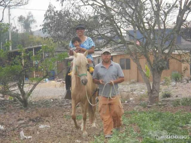 vENDO cASA DE cAMPO pACHACAMAC — foto 1