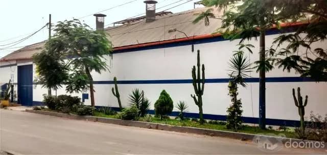 VENTA DE LOCAL INDUSTRIAL - SJL — foto 3