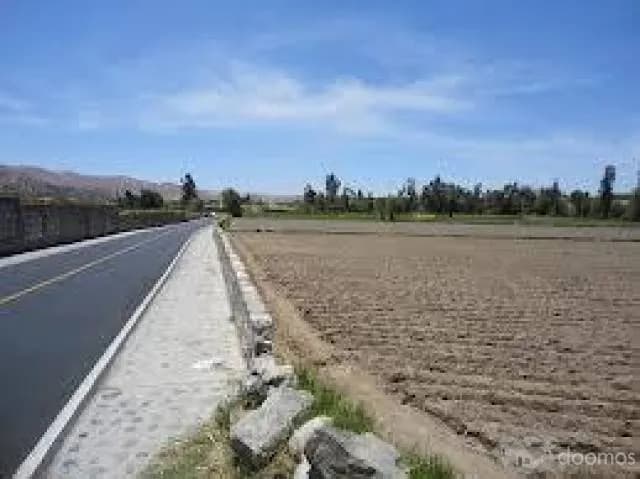 Terreno sachaca en avenida — foto 1