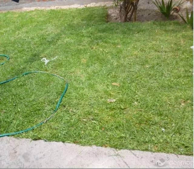 ALQUILO CASA EN MOLLENDO — foto 1