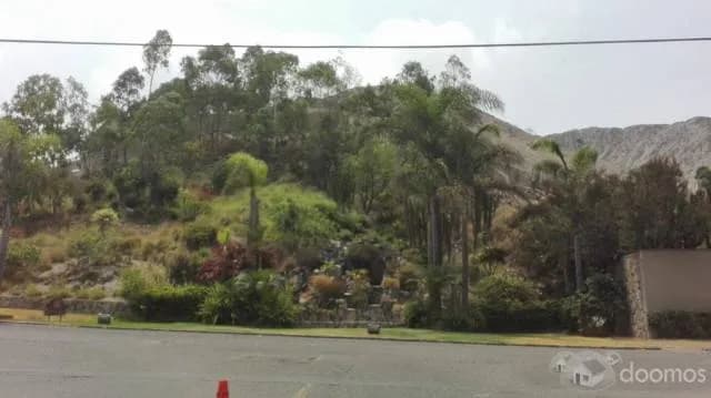 Terreno en la Urb. Oasis de La Planicie — foto 6