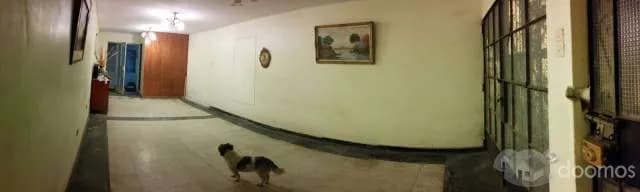 ALQUILER DE LOCAL COMERCIAL — foto 5