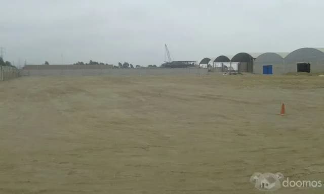 SE ALQUILA TERRENO DE 9800 EN LURIN-SUMAC PACHA — foto 4