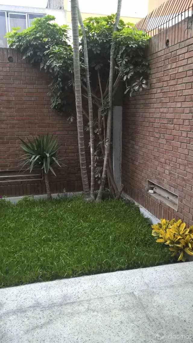 Alquilo Oficina de 200 m2 en Surco a 1550 Dólares — foto 1