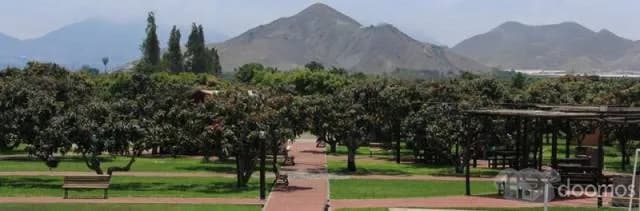 Venta de Casa de Campo en Huaral — foto 4