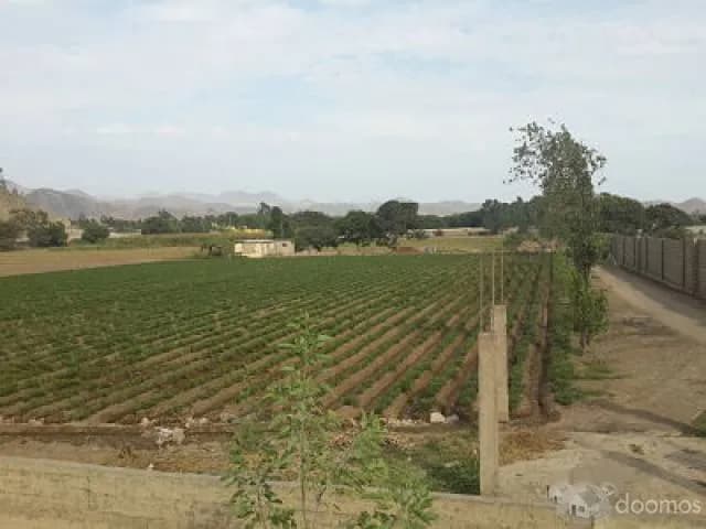 Venta de Terreno en Quebrada Verde Pachacamac — foto 3