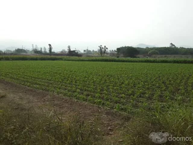 Venta de Terreno en Quebrada Verde Pachacamac — foto 5