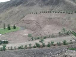 LOTES EN VENTA - PACHACAMAC