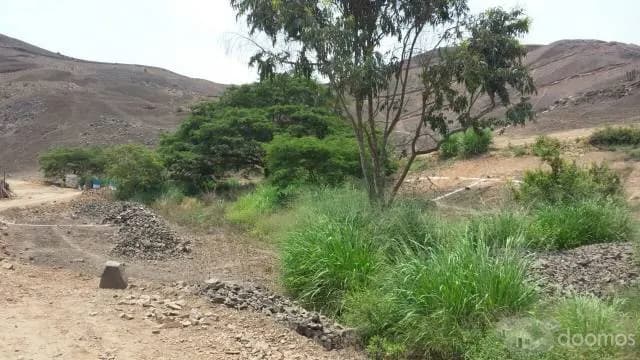 TERRENOS PACHACAMAC — foto 3